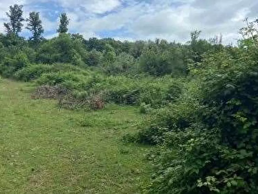 terreno agricolo in vendita a Velletri