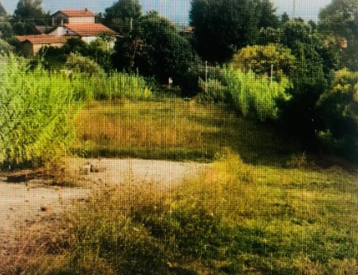 terreno agricolo in vendita a Velletri
