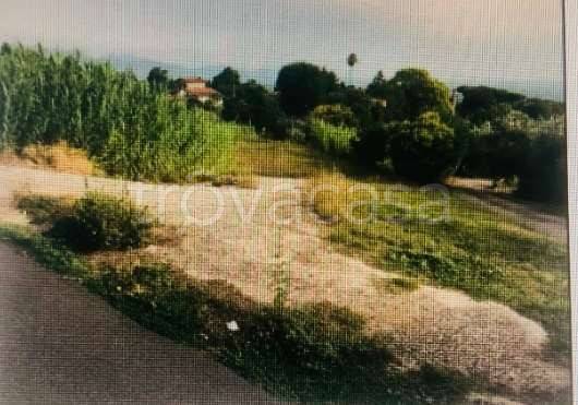 terreno agricolo in vendita a Velletri