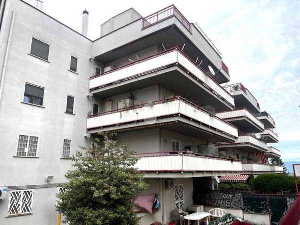 appartamento in vendita a Velletri