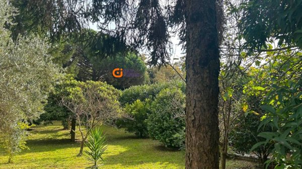 casa indipendente in vendita a Velletri