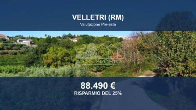 terreno agricolo in vendita a Velletri