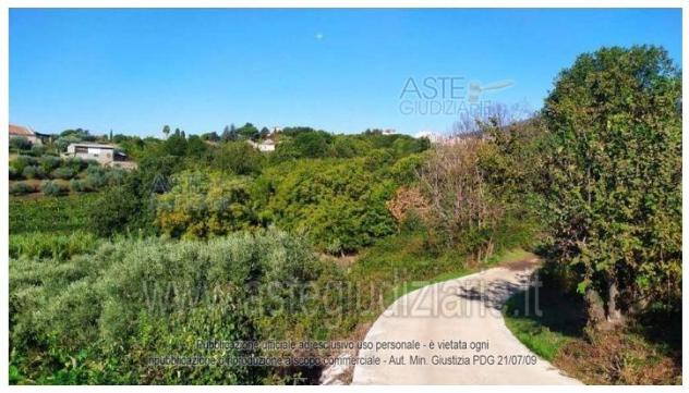 terreno agricolo in vendita a Velletri