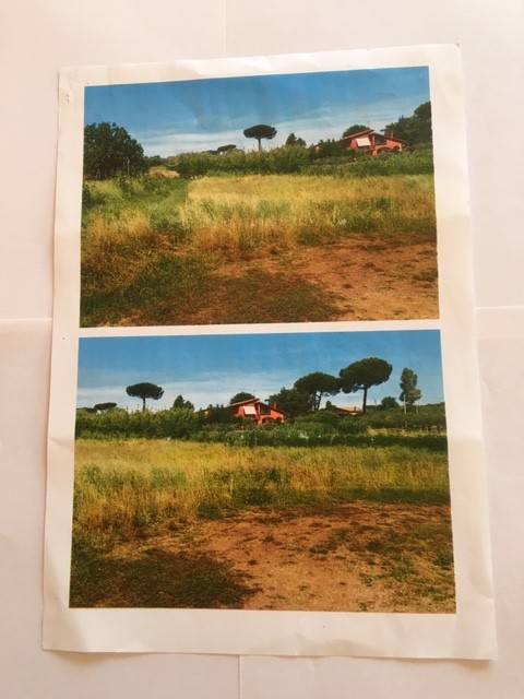 terreno agricolo in vendita a Velletri