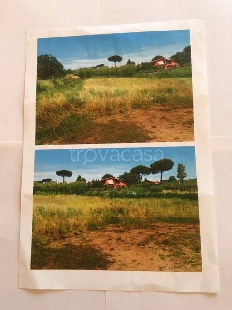 terreno agricolo in vendita a Velletri