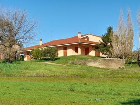 azienda agricola in vendita a Velletri