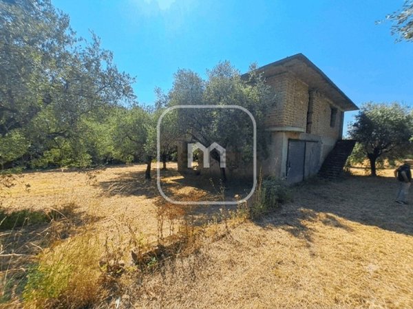 esavano in vendita a Velletri