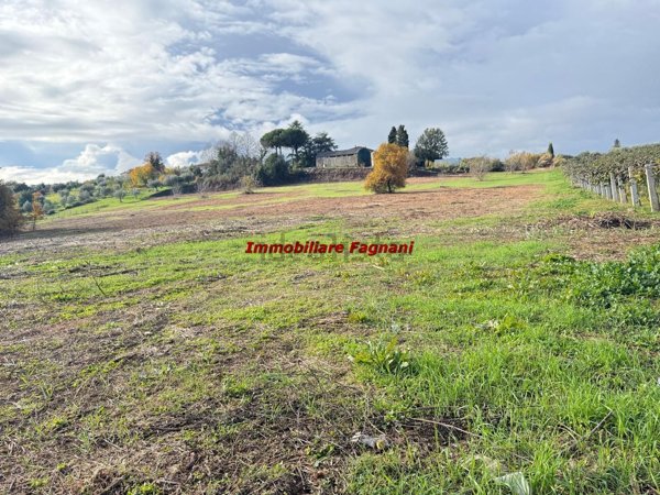 terreno agricolo in vendita a Velletri