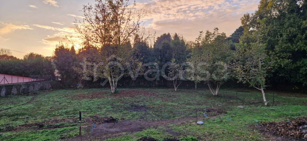 terreno agricolo in vendita a Velletri