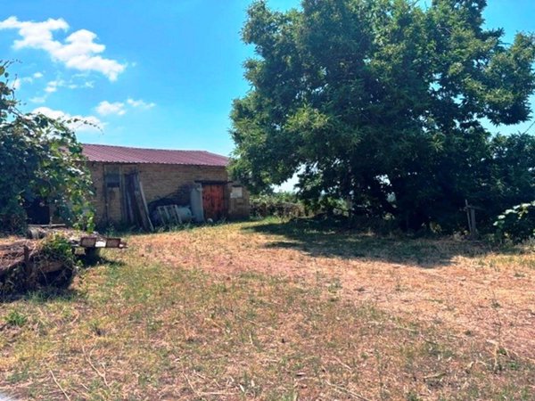 terreno agricolo in vendita a Velletri