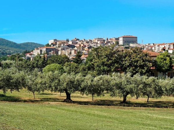 negozio in vendita a Velletri