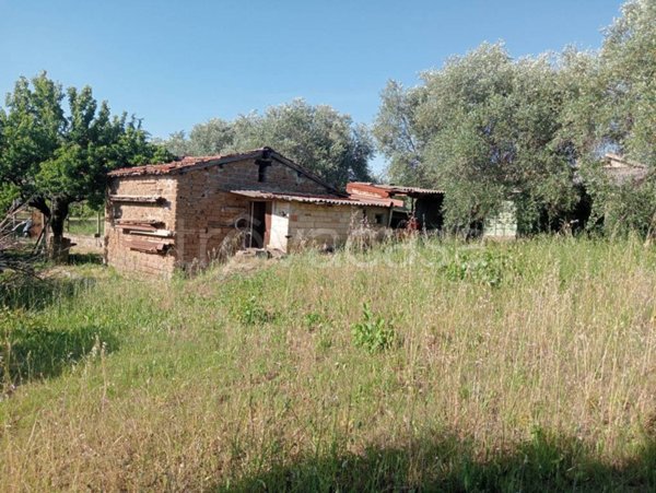 terreno agricolo in vendita a Velletri