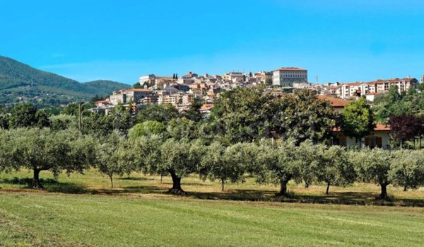 negozio in vendita a Velletri