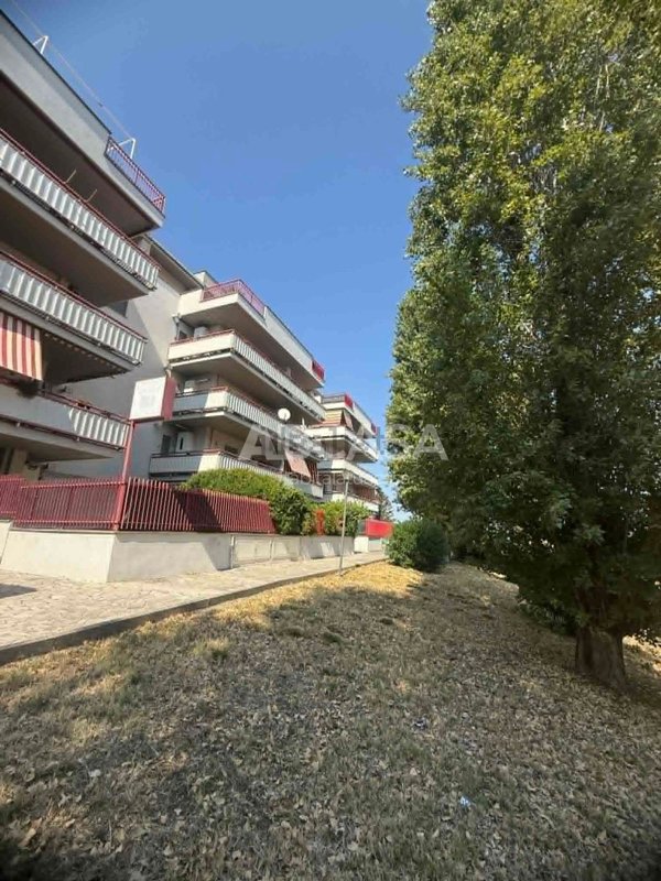 appartamento in vendita a Velletri