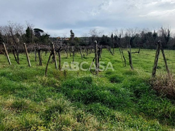 terreno agricolo in vendita a Velletri