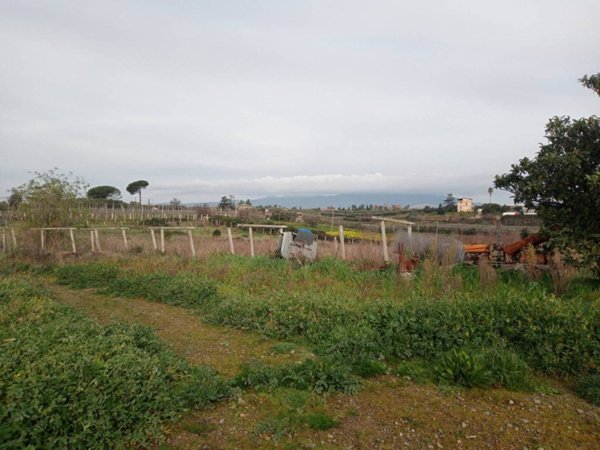 terreno agricolo in vendita a Velletri