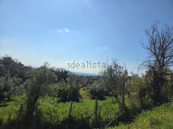 appartamento in vendita a Velletri