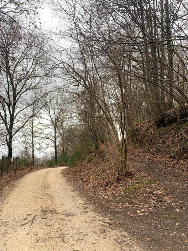 terreno in vendita a Velletri