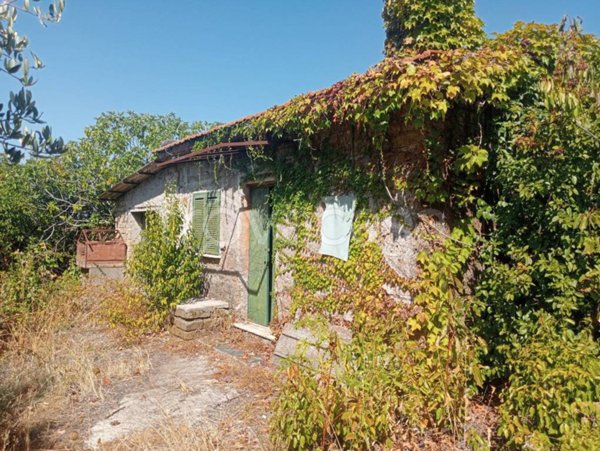 terreno agricolo in vendita a Velletri