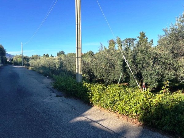 terreno in vendita a Velletri