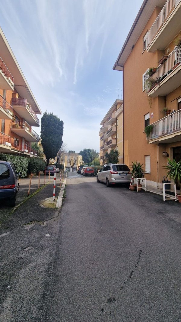 box auto in vendita a Velletri