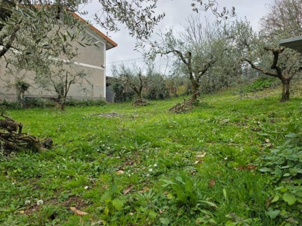 terreno agricolo in vendita a Velletri