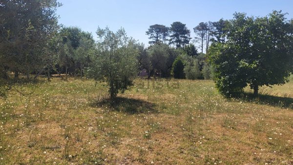 terreno in vendita a Velletri