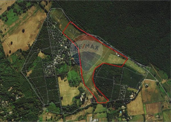 terreno in vendita a Velletri