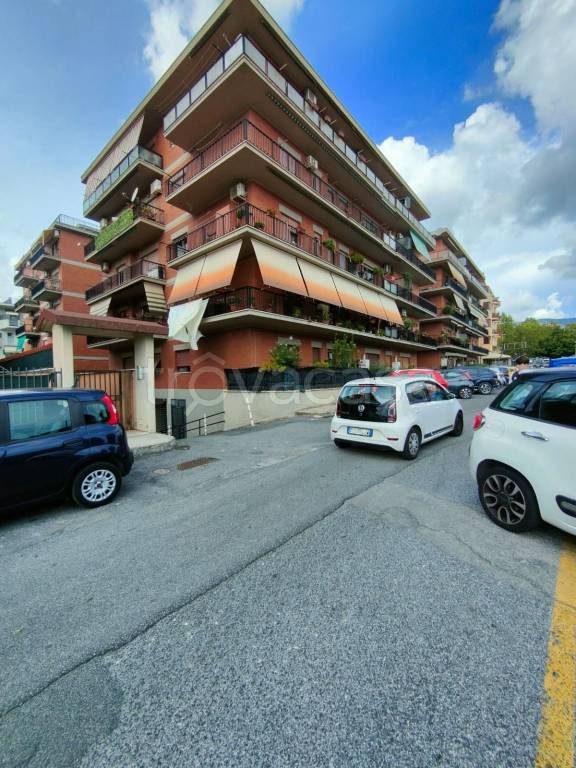 appartamento in vendita a Velletri