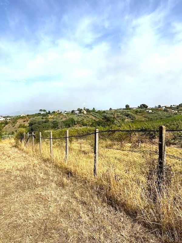 terreno in vendita a Velletri