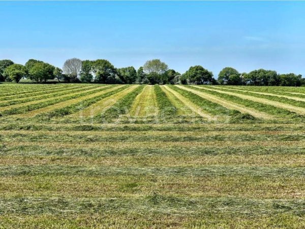 terreno agricolo in vendita a Vicovaro