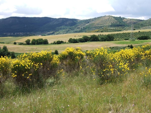 casale in vendita a Vicovaro