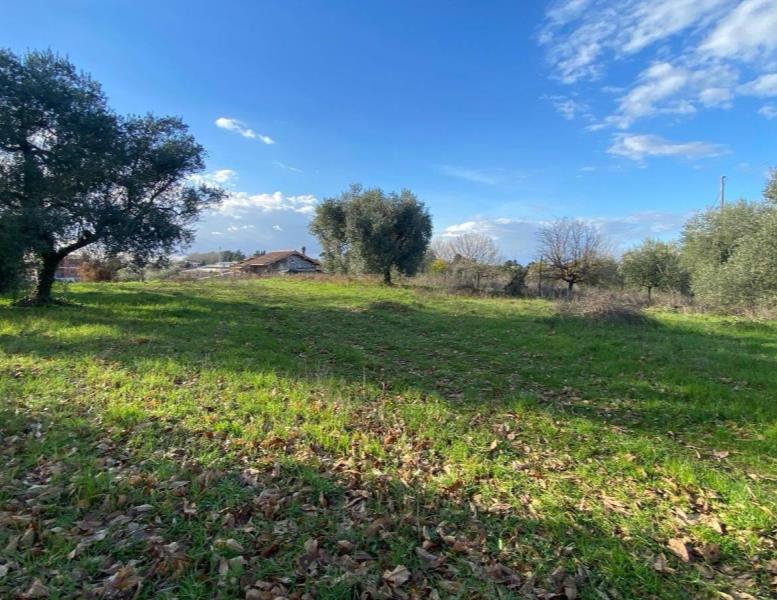 casa indipendente in vendita a Zagarolo in zona Valle Martella