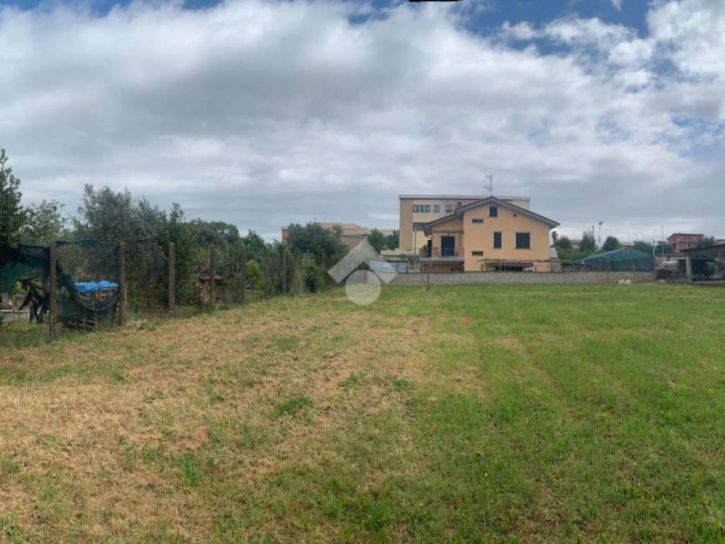 terreno agricolo in vendita a Zagarolo in zona Valle Martella