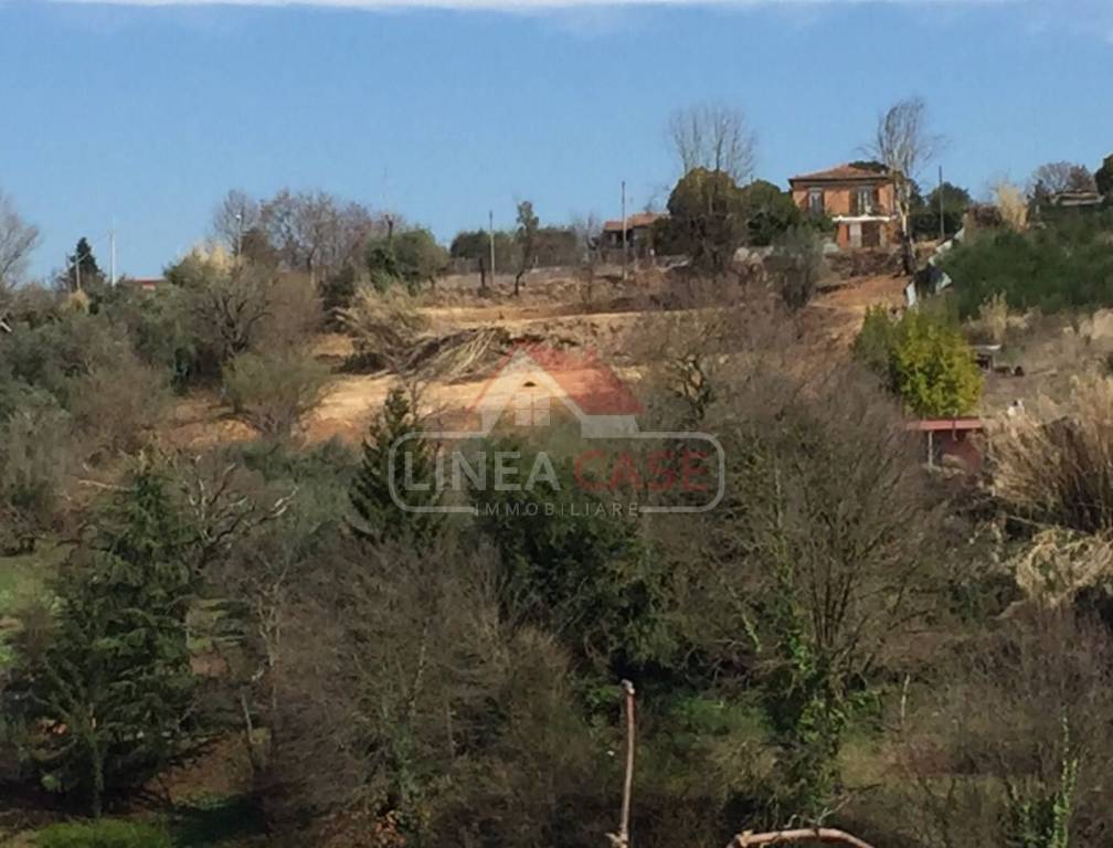 terreno agricolo in vendita a Zagarolo