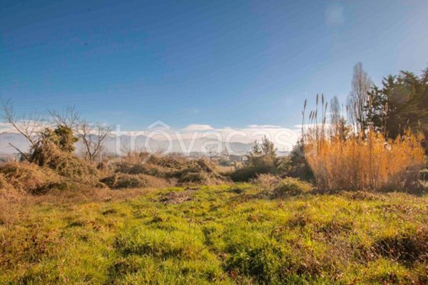 terreno agricolo in vendita a Zagarolo