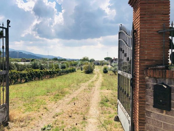 terreno agricolo in vendita a Zagarolo