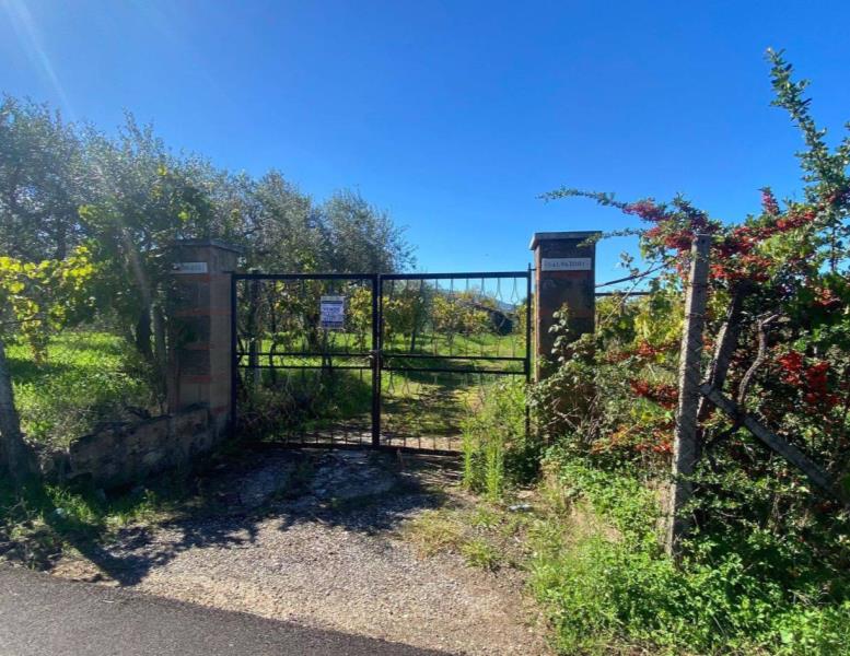 appartamento in vendita a Zagarolo in zona Valle Martella