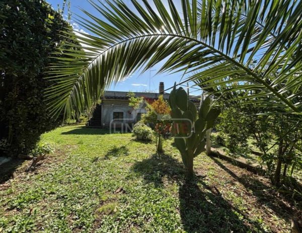 casa indipendente in vendita a Zagarolo