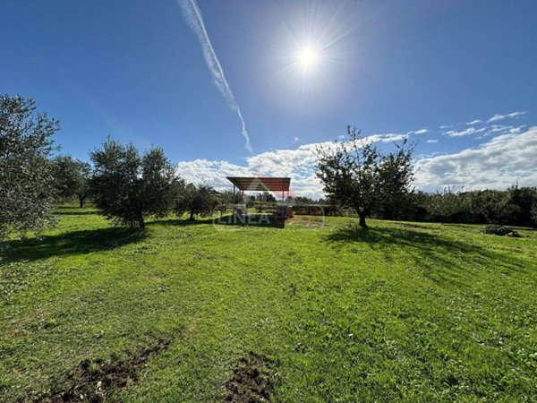terreno agricolo in vendita a Zagarolo