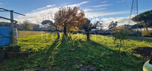 terreno agricolo in vendita a Zagarolo