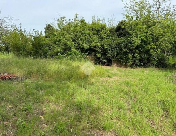casa indipendente in vendita a Zagarolo