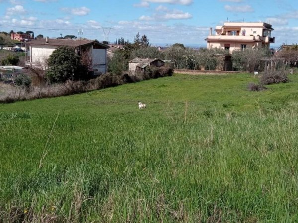terreno agricolo in vendita a Zagarolo in zona Valle Martella