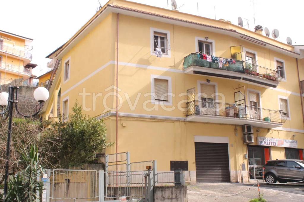 negozio in vendita a Zagarolo