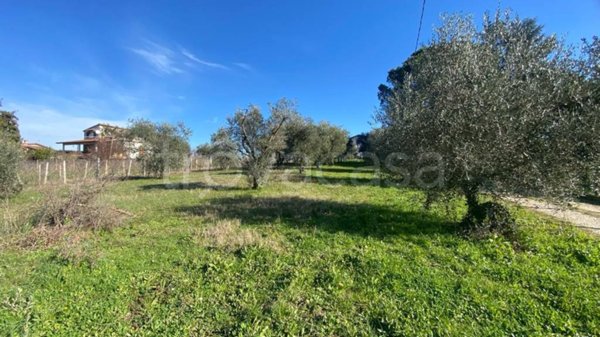 terreno agricolo in vendita a Zagarolo in zona Valle Martella