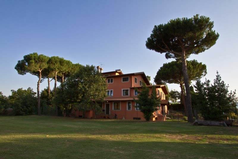 negozio in vendita a Zagarolo