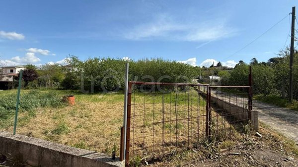 terreno agricolo in vendita a Zagarolo in zona Valle Martella