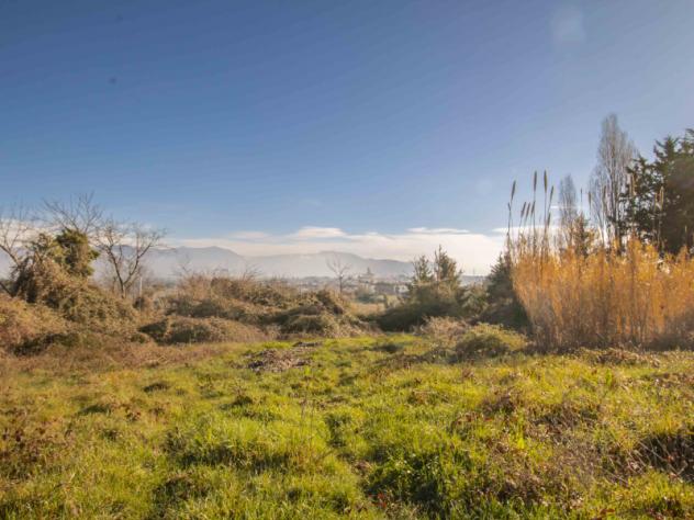 terreno agricolo in vendita a Zagarolo