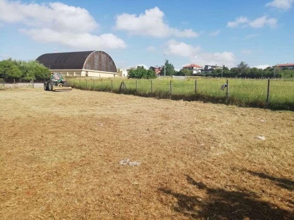 terreno agricolo in vendita a Zagarolo in zona Valle Martella