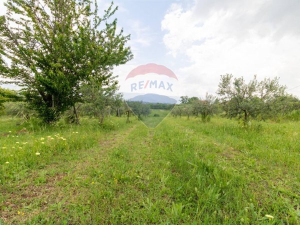 terreno agricolo in vendita a Zagarolo